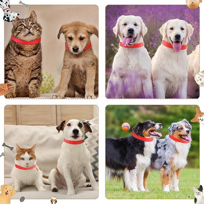 500 Count 20inch Adjustable Paper Dog Collars - Image 6