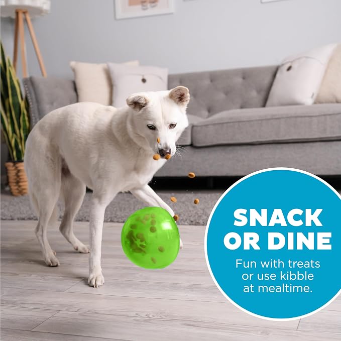 Outward Hound by Planet Dog Snoop Dog Toy – Treat‑Dispenser Puzzle Ball - Image 6