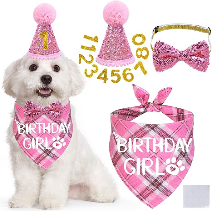 STMK Dog Birthday Outfits by STMK