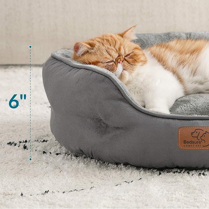 Bedsure Dog Beds for Small Dogs - Image 4