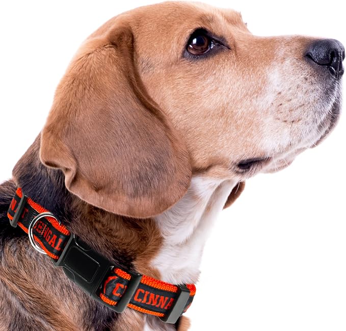 NFL PET Collar Cincinnati Bengals Dog Collar, Medium Football Team Collar - Image 7