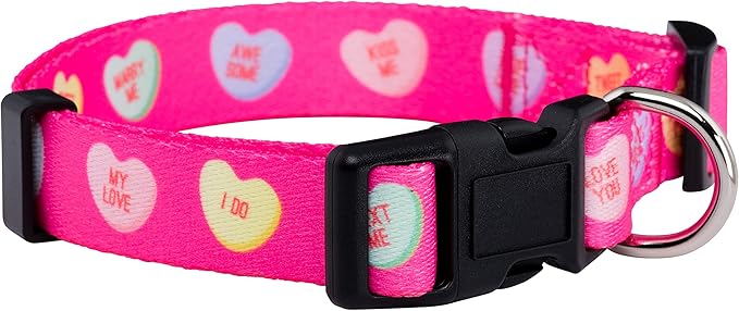 Native Pup Valentine’s Dog Collar- Valentines Day Pet Collars- Valentine Girly by NativePup
