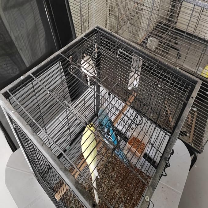 Metal Bird Cage 24 Inch High, Parrot Cage - Image 3