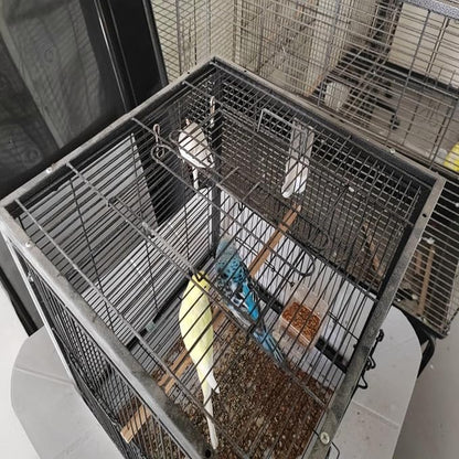 Metal Bird Cage 24 Inch High, Parrot Cage - Image 3