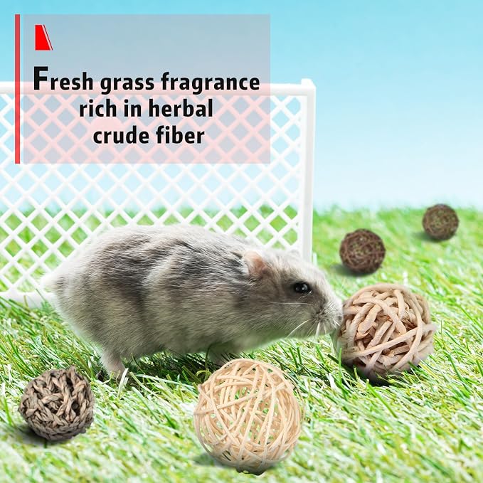 Skylety 15 Pieces Small Animal Chew Balls Rabbits Bunny Treat Chew Toys Guinea - Image 7