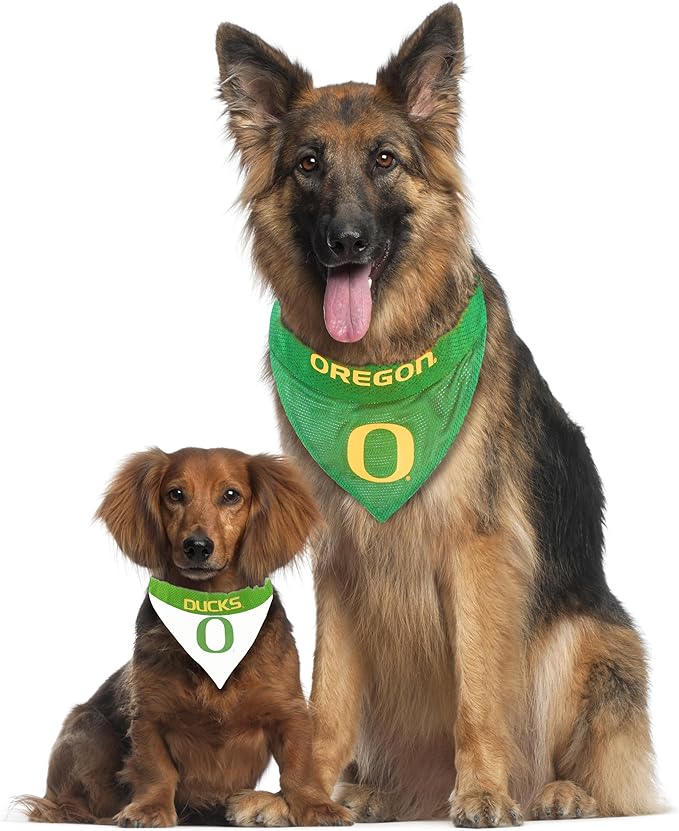 Pets First Collegiate Pet Accessories, Reversible Bandana, Oregon Ducks - Image 5