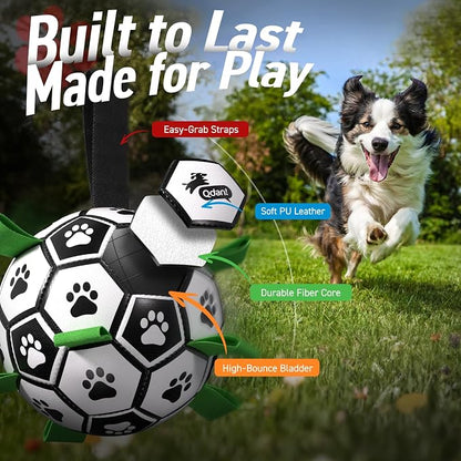 QDAN Dog Toys Dog Balls, World Cup Dog Soccer Ball - Image 5