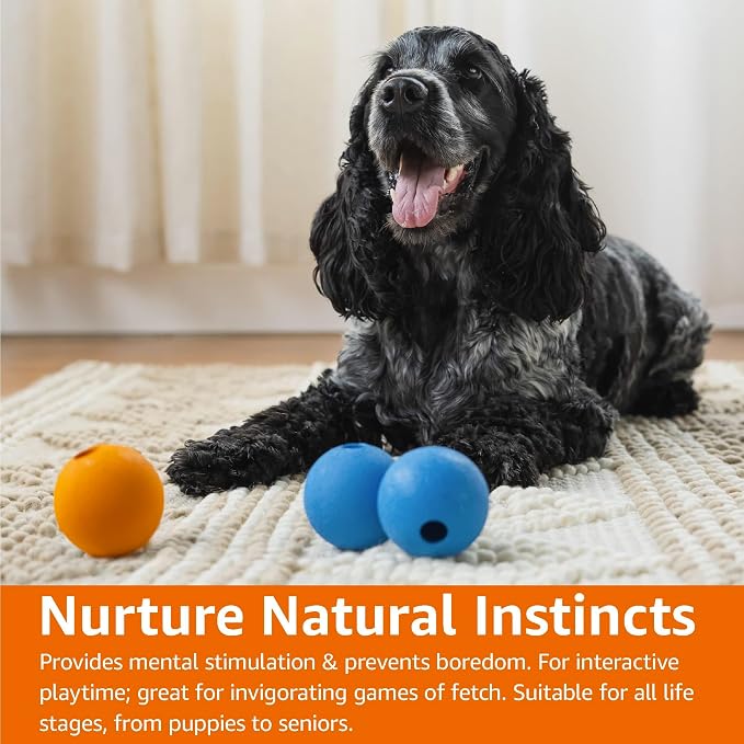 Amazon Basics Interactive Bouncy Durable Rubber Dog Toy Balls, 2.5 inch - Image 7