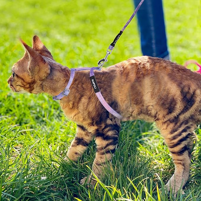 TIESOME Cat Harness and Leash Set, Adjustable Gradient Kitten Harness Escape - Image 7