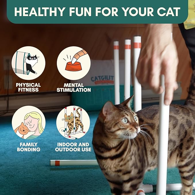 ALBERT & MIA CATGILITY Cat Agility Equipment + Clicker Trainer Guide – Exercise - Image 4