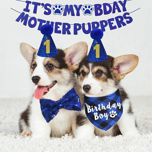 Dog Birthday Party Supplies - Image 2