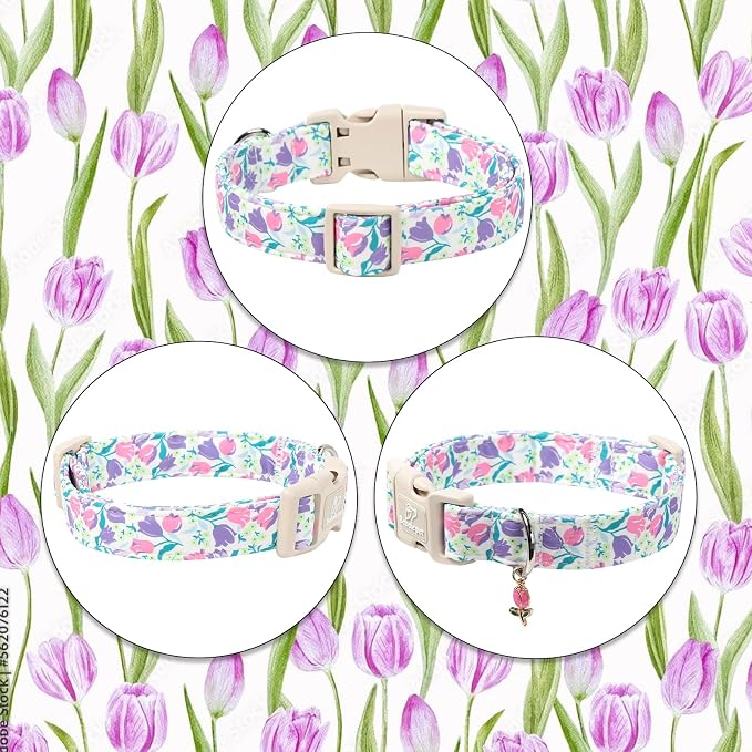 Floral Dog Collar for Small Dogs - Image 7