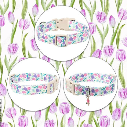 Floral Dog Collar for Small Dogs - Image 7