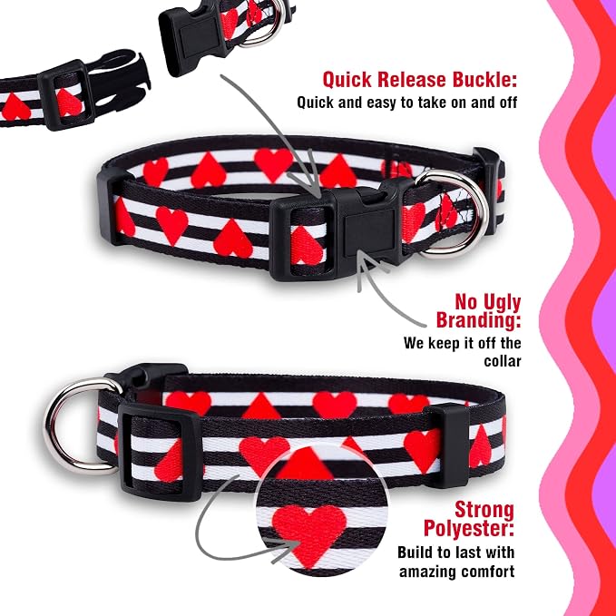 Native Pup Valentine’s Dog Collar- Valentines Day Pet Collars- Valentine Girly - Image 4