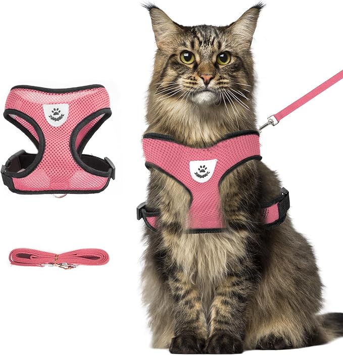 shudyear Summer cat Chest Harness and Leash, Anti-Escape Adjustable Soft mesh by Shudyear