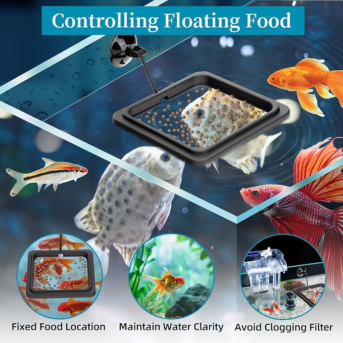 Fish Feeding Ring Aquarium Square Floating Food Feeder Circle - Image 3