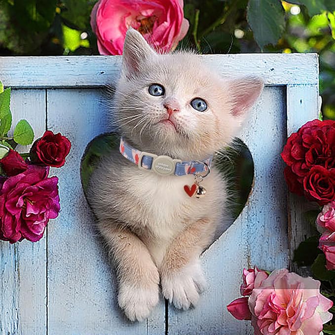 Unique style paws 2 Pack Valentine's Kitten Collar Breakaway - Image 5