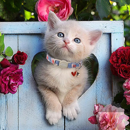 Unique style paws 2 Pack Valentine's Kitten Collar Breakaway - Image 5