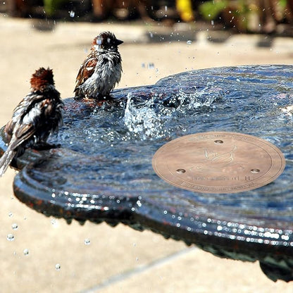 TIANCENTRAL H Bird Bath Copper Disk 2PCS-99.99% Pure Copper Cleaning Disk - Image 6