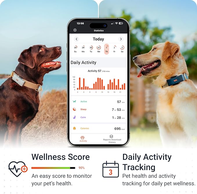 PAJ GPS Tracker for Dogs - 4G GPS Collar Tag - Waterproof & Up to 10 Days - Image 4