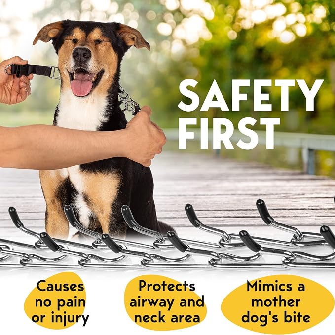 PetJett Prong Collar for Dogs - Image 3