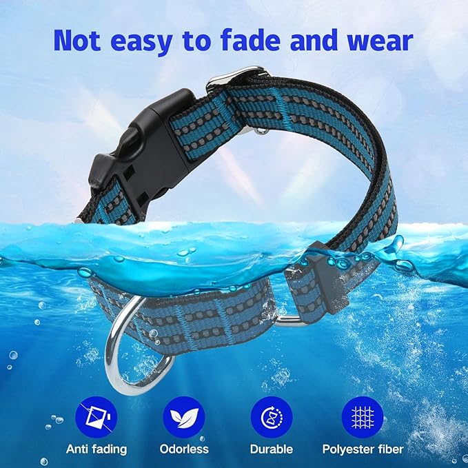 Martingale Dog Collar, Adjustable Nylon Reflective Collar - Image 5