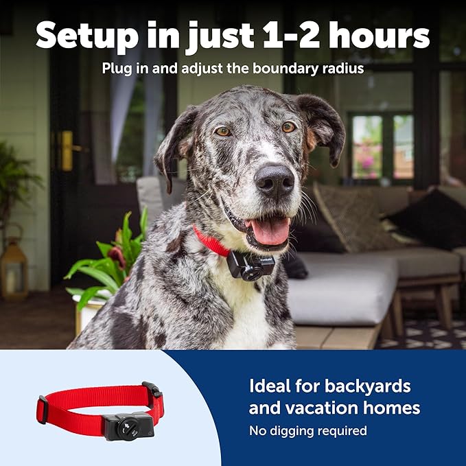 PetSafe 2-Dog Wireless Pet Containment System - Image 6