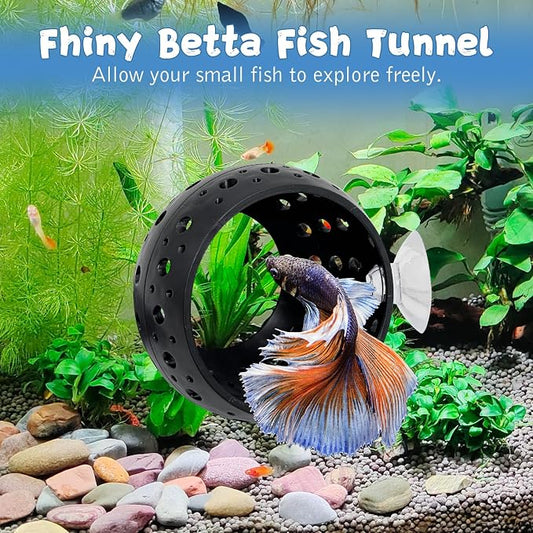Fhiny Betta Tunnel - Image 2