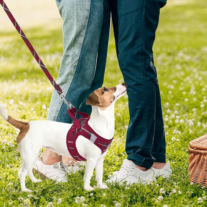 PUPTECK Adjustable Dog Harness Collar and Leash Set Step in No Pull Pet Harness - Image 7