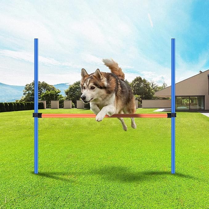 PAWISE Dog Agility Training Equipment, Pet Training Hurdles & Weave Poles Set - Image 2