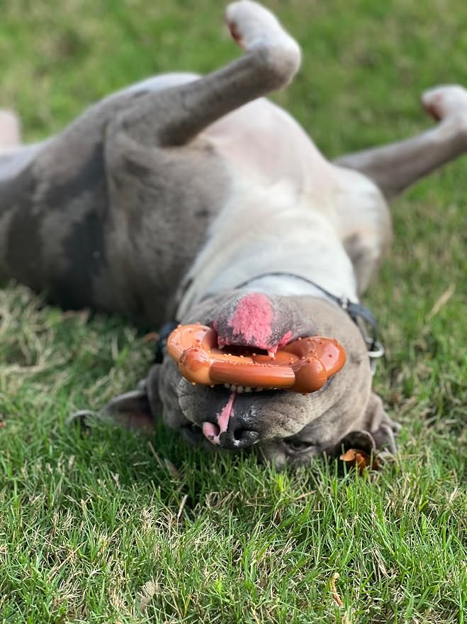 Nylabone Pretzel Power Chew Toy - Image 8