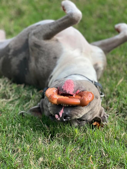 Nylabone Pretzel Power Chew Toy - Image 8