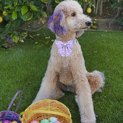 MR. CHUBBYFACE Easter Dog Collar, Adjustable Pet Collar Bowtie - Image 4