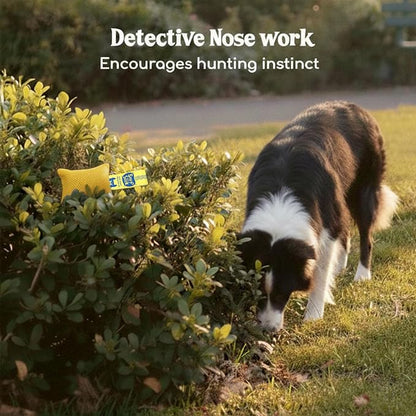 Race&Herd Original Dog Scent Training Kit, Scent Work Training Kit - Image 5