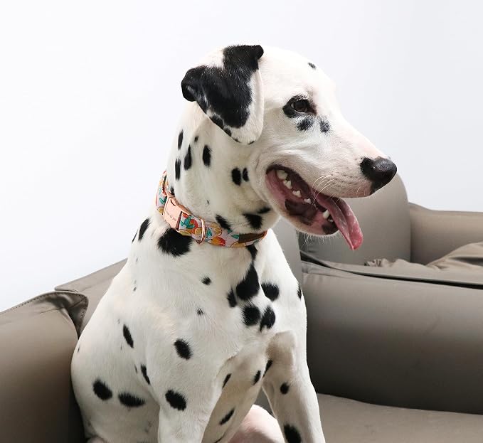 Unique style paws Dog Collar Metal Buckle Orange Collar Gift Durable Cute Collar - Image 4