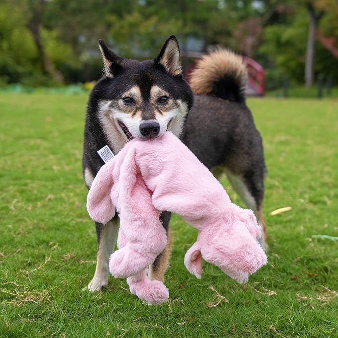 Best Pet Supplies Squeaky Dog Toys - Image 7
