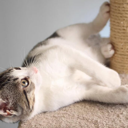 4-Tier Round Cat Tower - Image 6