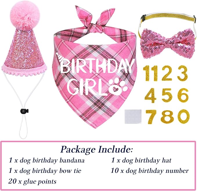 STMK Dog Birthday Outfits - Image 3