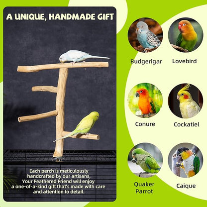 Natural Wood Bird Perch & Play Stand - Image 5