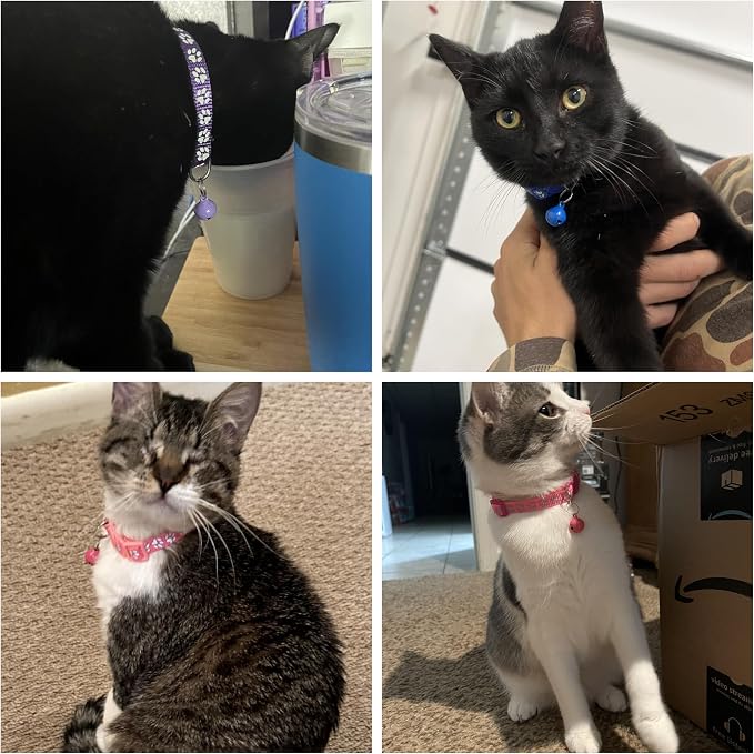 FluorescentCat Collar with Bells, Hot Pink Break Away Kitten Collar with Bells - Image 2