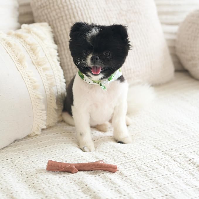 SPOT Bam-Bones Plus Branch -Bamboo Fiber & Nylon, Durable Long Lasting Dog Chew - Image 10