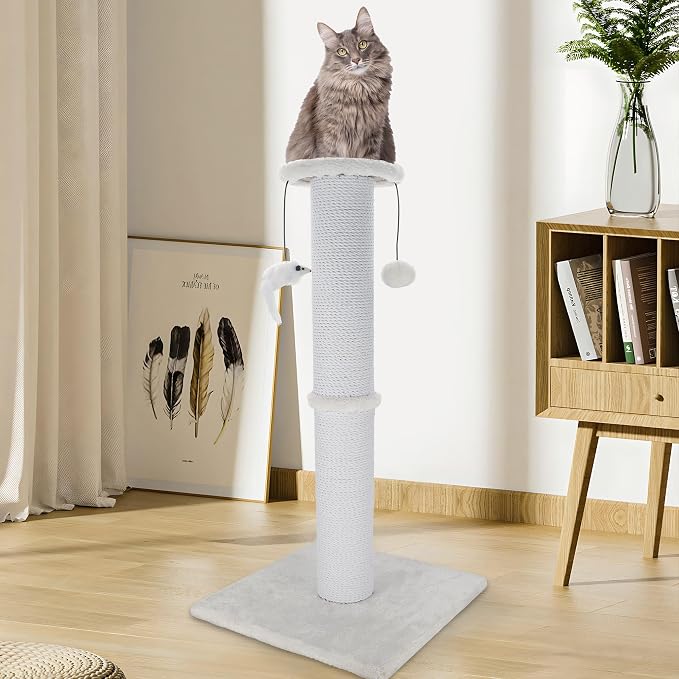 Cat Scratching Post 34 Inches Heavy Duty and Thicker Cat Scratching Post Sisal - Image 7
