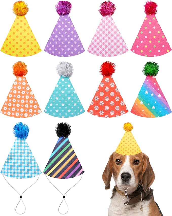 PET SHOW 10 Pack Small Party Hats by PETSHOW