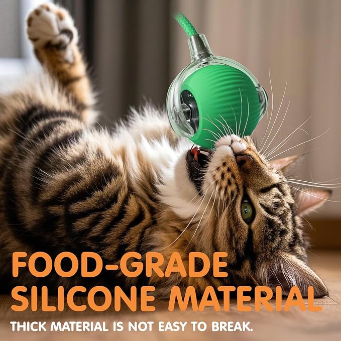 Rocfish Durable Interactive Cat Toys - Image 5