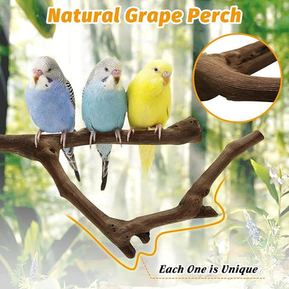 kathson 5pcs Natural Parrot Perch - Image 3