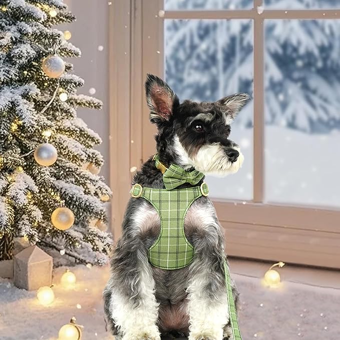 Beirui Cute Extra Small Dog Harness Collar and Leash Set - Image 4