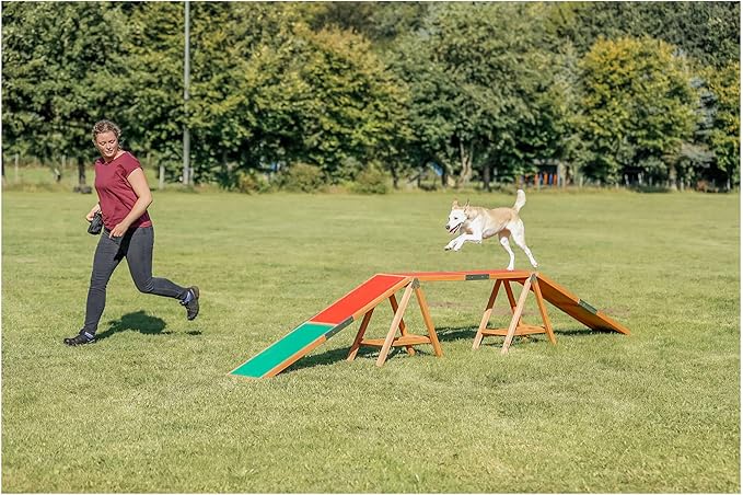 Trixie Dog Agility Walk and Ramps – Dog Obstacle Training Equipment Training - Image 3