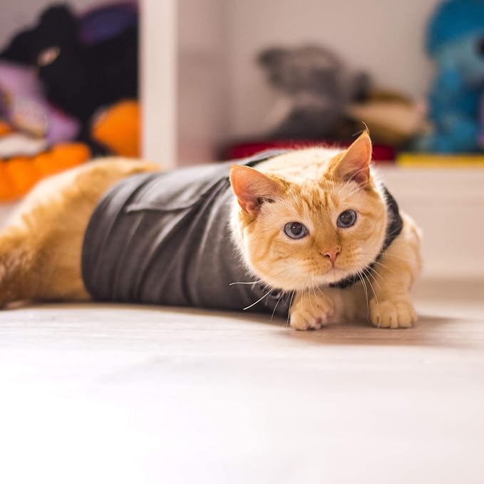 ThunderShirt Classic Cat Anxiety Jacket, Solid Gray - Image 6