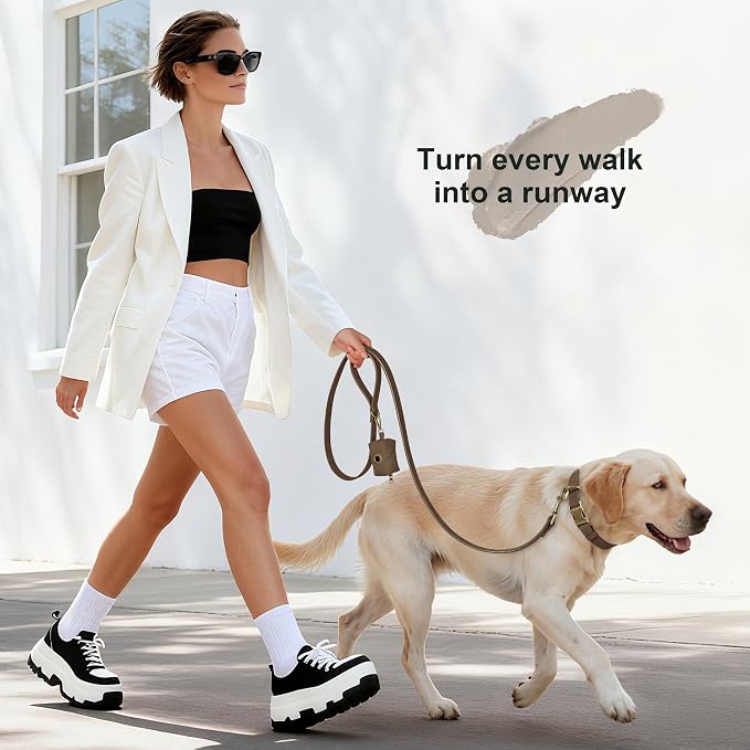 Didog Soft PU Leather Dog Collar, Stylish Quick Released Dog Collar - Image 4
