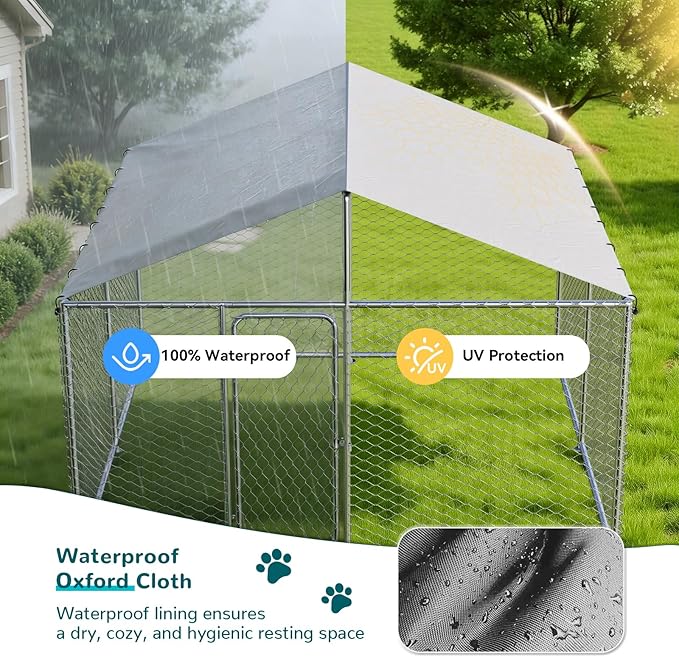 10'x10' Large Outdoor Dog Kennel Outside - Image 5